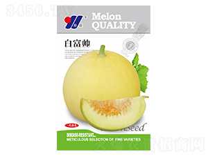 �׸���-��ϷN��-��Դ�r(n��ng)�I(y��)