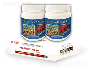 ��(x��)�������ؽM��-��(zh��n)܇(ch��) 