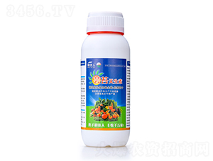 �|̦������-ʮ��ڱ������˶��f��-������ 