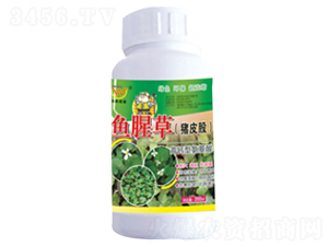 �~�Ȳݣ��iƤ�ɣ����ð������~���-������� 