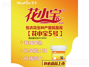 ��С��5̖(h��o)-�����N��-ʥ�S�N�I(y��)