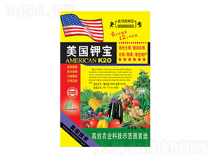 ����⛌�-�|���S 