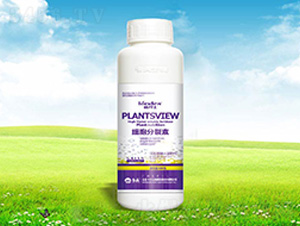 500�˼�(x��)��������-���� 