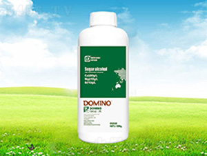 ���\�}�V�F-�����Z��ƿ��-���� 