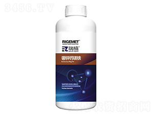 ���\�}�V�F-��ֲ-���w�~�� 