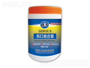 �@�֘�ľ�������ϸ�-����