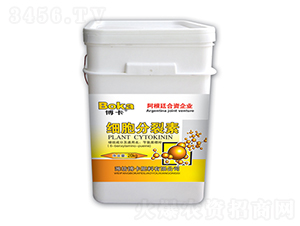 ��(x��)��������-���� 