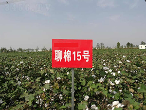 ����15̖(h��o)-�޻��N��-�y�d�N�I(y��)