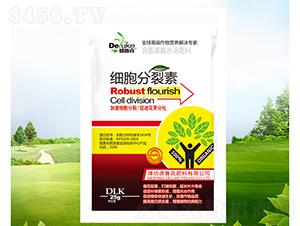 ��(x��)��������(��)-������ 