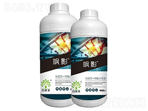 �ӏ�(qi��ng)�͡���(x��)��������-�SӰ-�r(n��ng)ʥ�� 