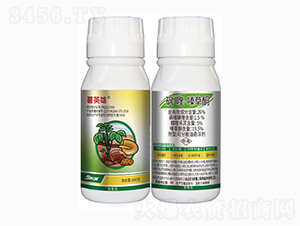 26%����ୡ�າ�ͪ-��Ӣ��-���r(n��ng)��