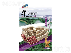 �t109-�����N��-�Aһ�N�I(y��)