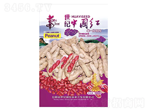 ���o(j��)�Ї��t�Aһ�t109-�����N��-�Aһ�N�I(y��)