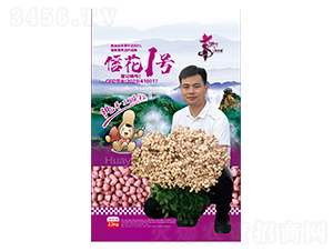 �Ż�1̖(h��o)-�����N��-�Aһ�N�I(y��)