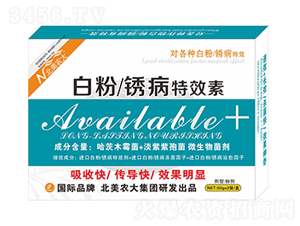 �׷����P����Ч��-�����r(n��ng)��