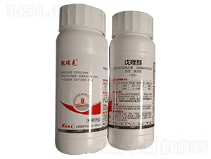 430��/�����򴼑Ҹ���-�P���