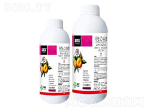 12%���S��������Ҹ���-�M(m��n)����-���՘�(l��)