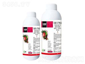 40%�}�����V��������-�s��M(m��n)-���՘�(l��)