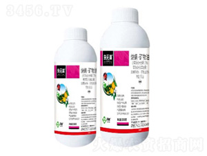 73%Ȳ�����V��������-�s�o(w��)�M(m��n)-���՘�(l��)