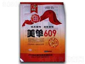 ����609-���ף��s�����N��-�п�����