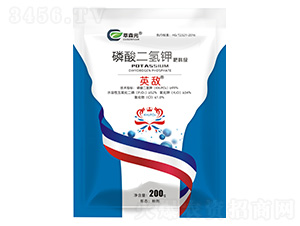 �������⛷��ϼ�(j��)-Ӣ��-��ɭԪ