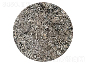 �u�S�ЙC��-��������