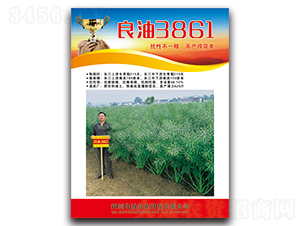 ����3861-�Ͳ˷N��-�����N�I(y��)