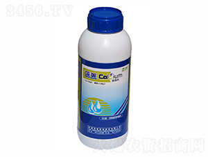 �ЙC�}��-�{�w-ïʩ���� 