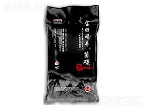 ��̼-����T�S-����ʘI(y��)