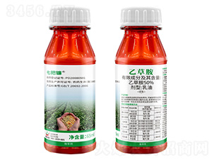 50%�Ҳݰ�-�߰��-������