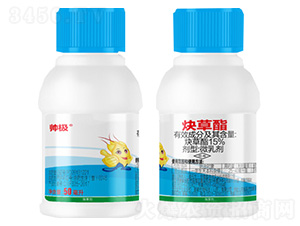 15%Ȳ����-���O-������