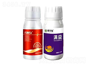 �W��t+�M(m��n)��-�ÌW(xu��)��