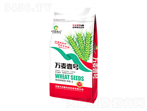 �f��Ҽ̖-�f�ҼZ�}-�f���Z