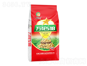 �����N��-�f��518-�f���Z