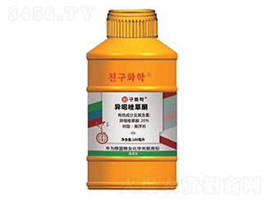 ��������݄������f���ͪ��-Сůƿ-�n�ѻ��W