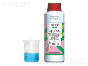 ˮ������݄���2�ס�����ɣ�-�ȵ�-�n�ѻ��W