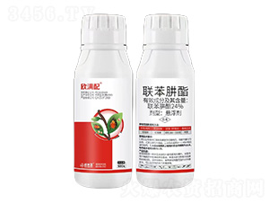 24%(li��n)������-���M(m��n)��-���ׁ�