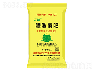 ���ĵ���-��׷-��������