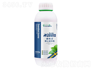 ϡ����ጵ�-��˹�Z