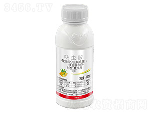 20%߻�x��-���� 