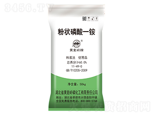 �۠�����һ�@-�S���X