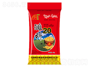 塿�20-�󶹷N��-���S�N�I(y��)