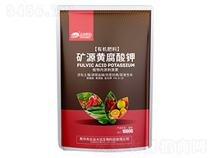 1000g�VԴ�S�����-���_�� 