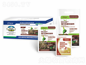 �������~��ʠI�B(y��ng)�ײ�A+B-嫰����� 