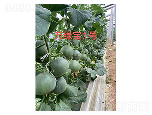 ��ϷN��-�f�G��1̖-���S�r(n��ng)�I(y��)