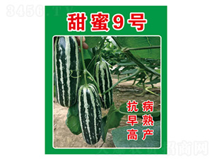 ��ϷN��-����9̖-���S�r(n��ng)�I(y��)