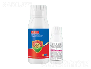 8%���x��+6%���ס������׾�-��z��-�Z�����r(n��ng)�I(y��)