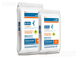 ���������-������-�vɭ�ʘI(y��)