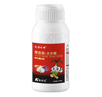 100���[���⡤�����-ʷ���̎�-�P���