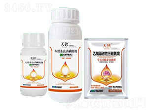 ���Ú�������-���-�����r